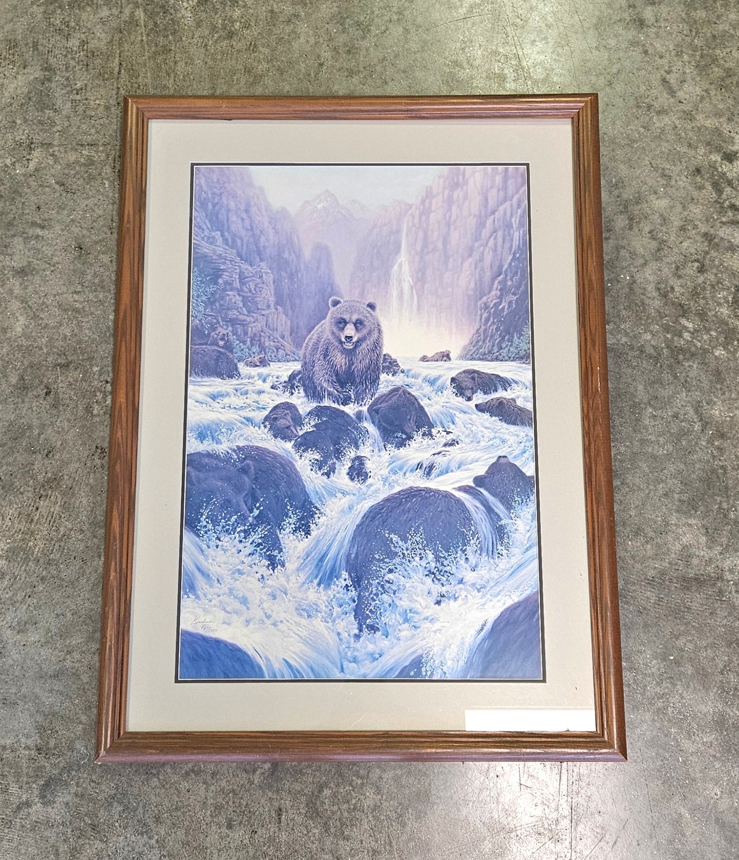 Steve Kushner Bear in River Wall Art