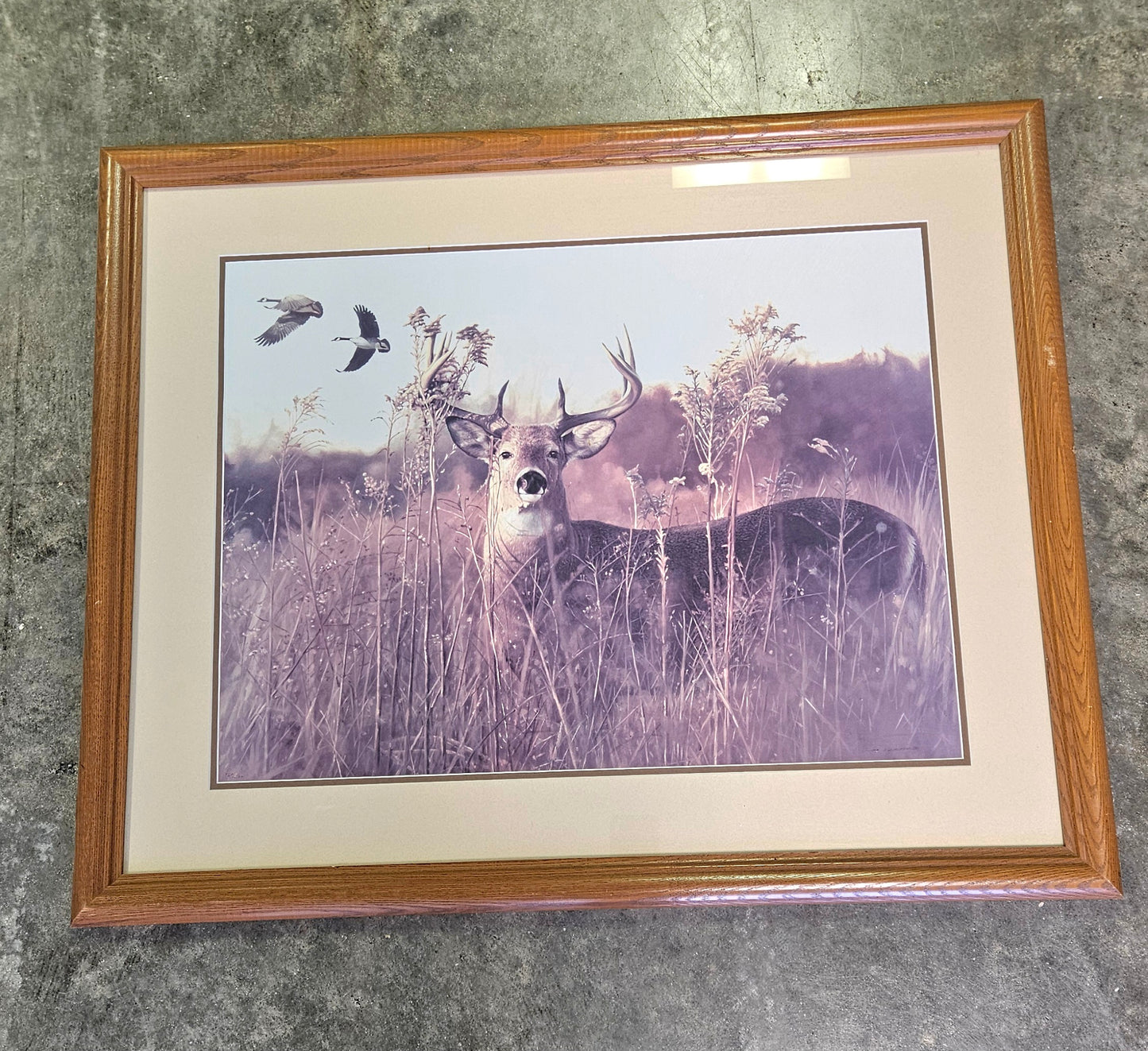 Bob Travers Deer Wall Art