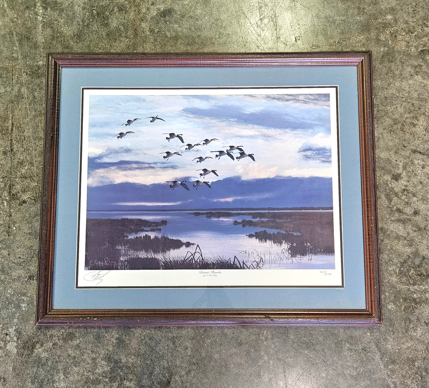 C. Ford Riley Distant Thunder Wall Art
