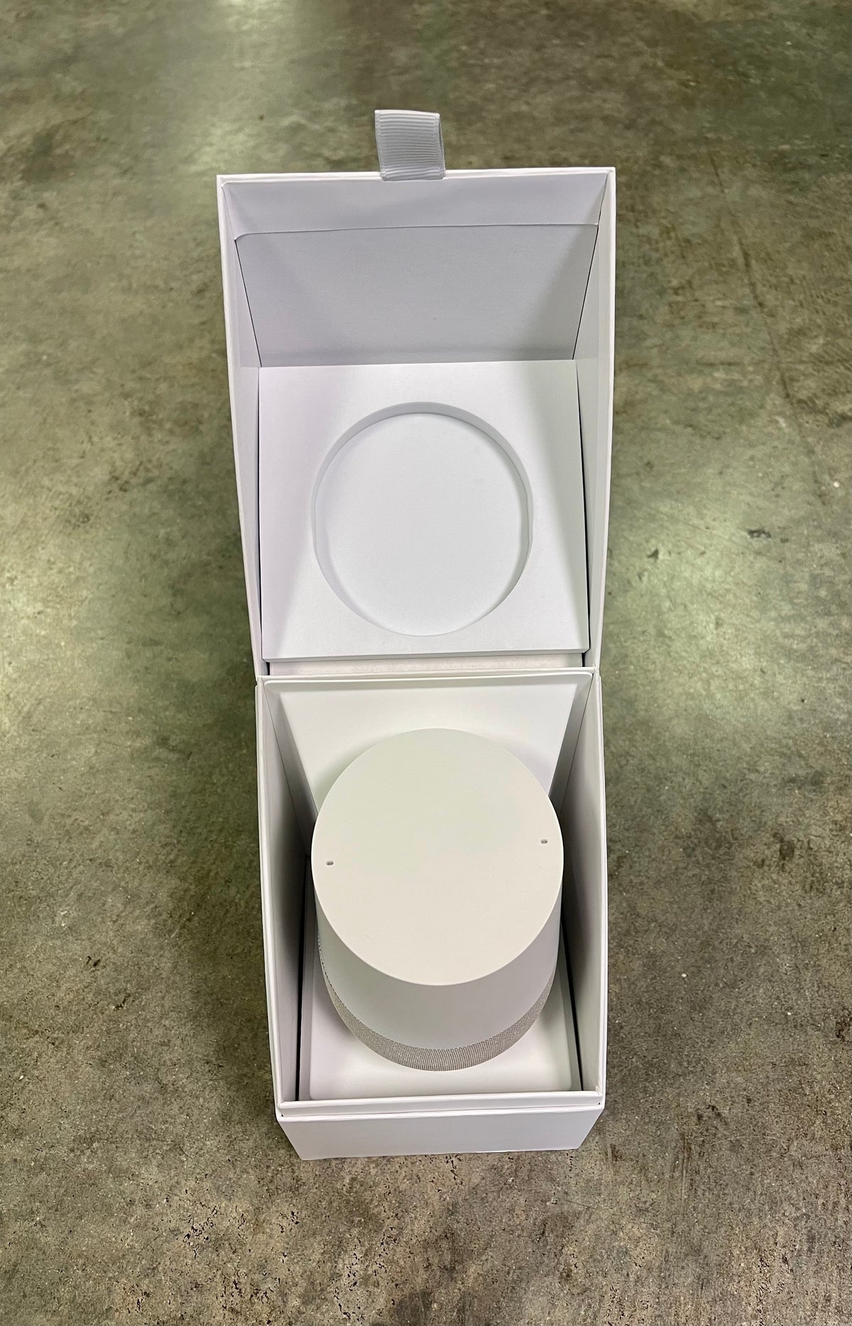Google Home Voice Activated Speaker
