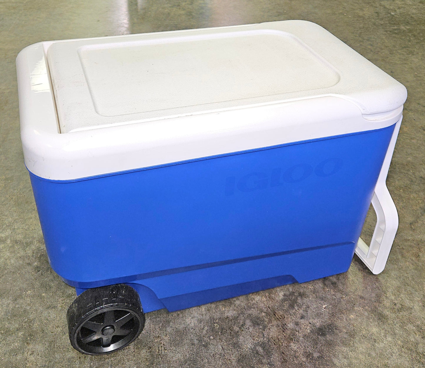Igloo 38 QT Wheelie Cooler - Blue