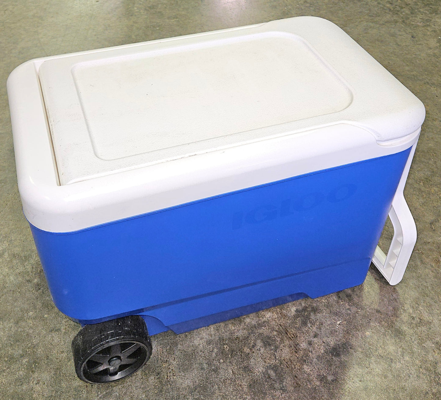 Igloo 38 QT Wheelie Cooler - Blue