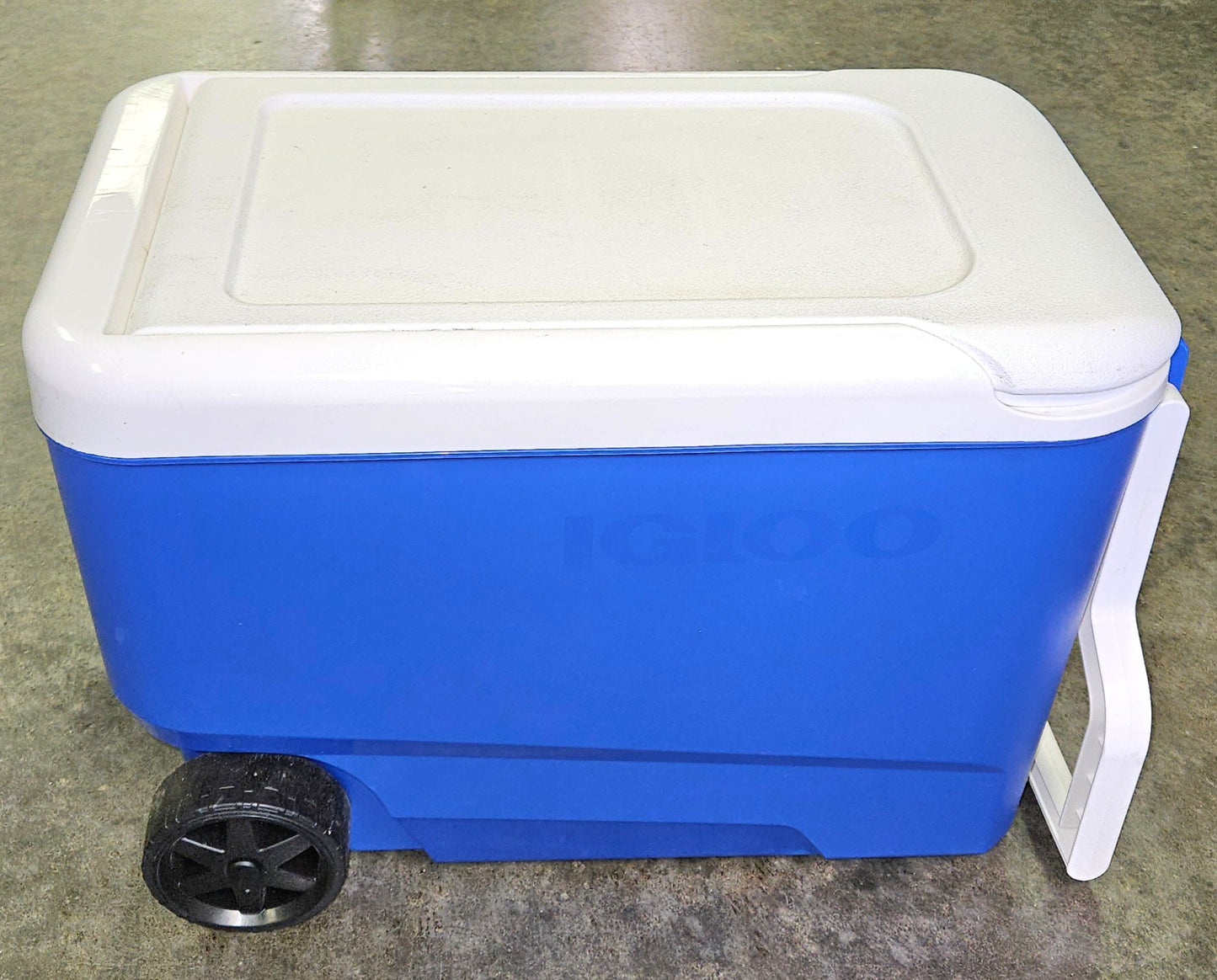 Igloo 38 QT Wheelie Cooler - Blue