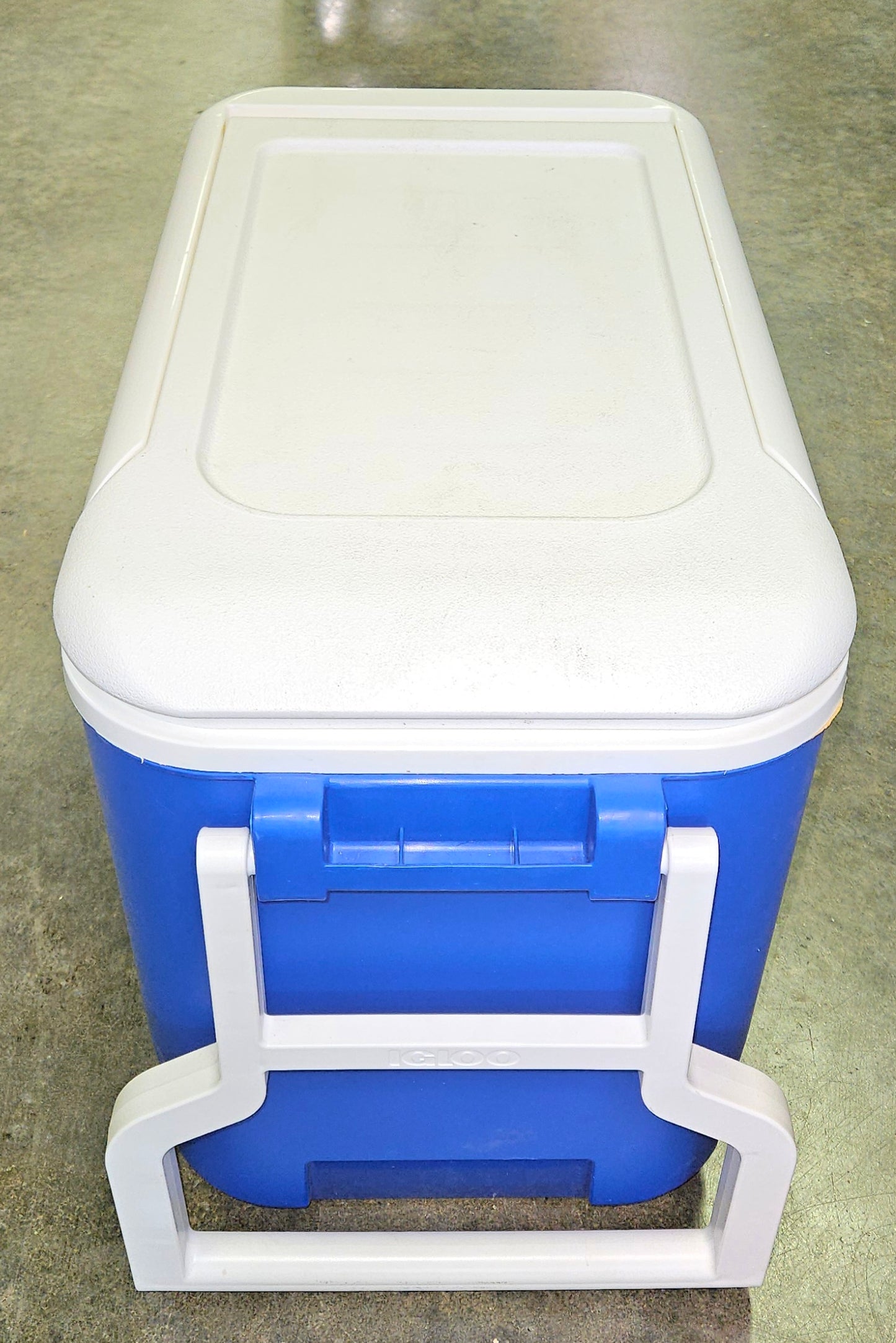 Igloo 38 QT Wheelie Cooler - Blue