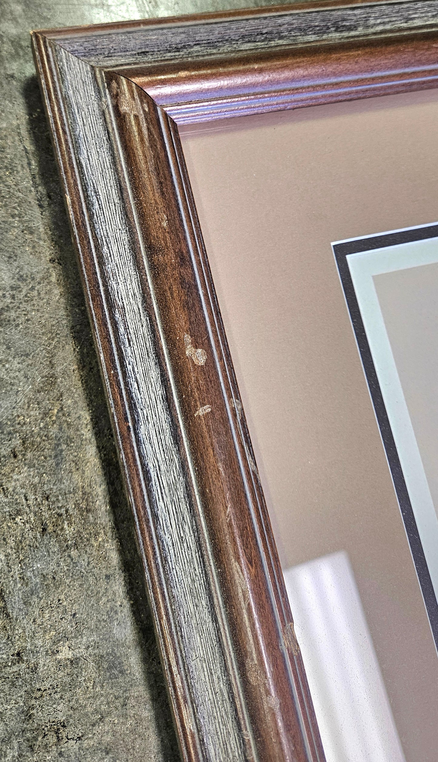 Art LaMay Sittin' Pretty Wall Art